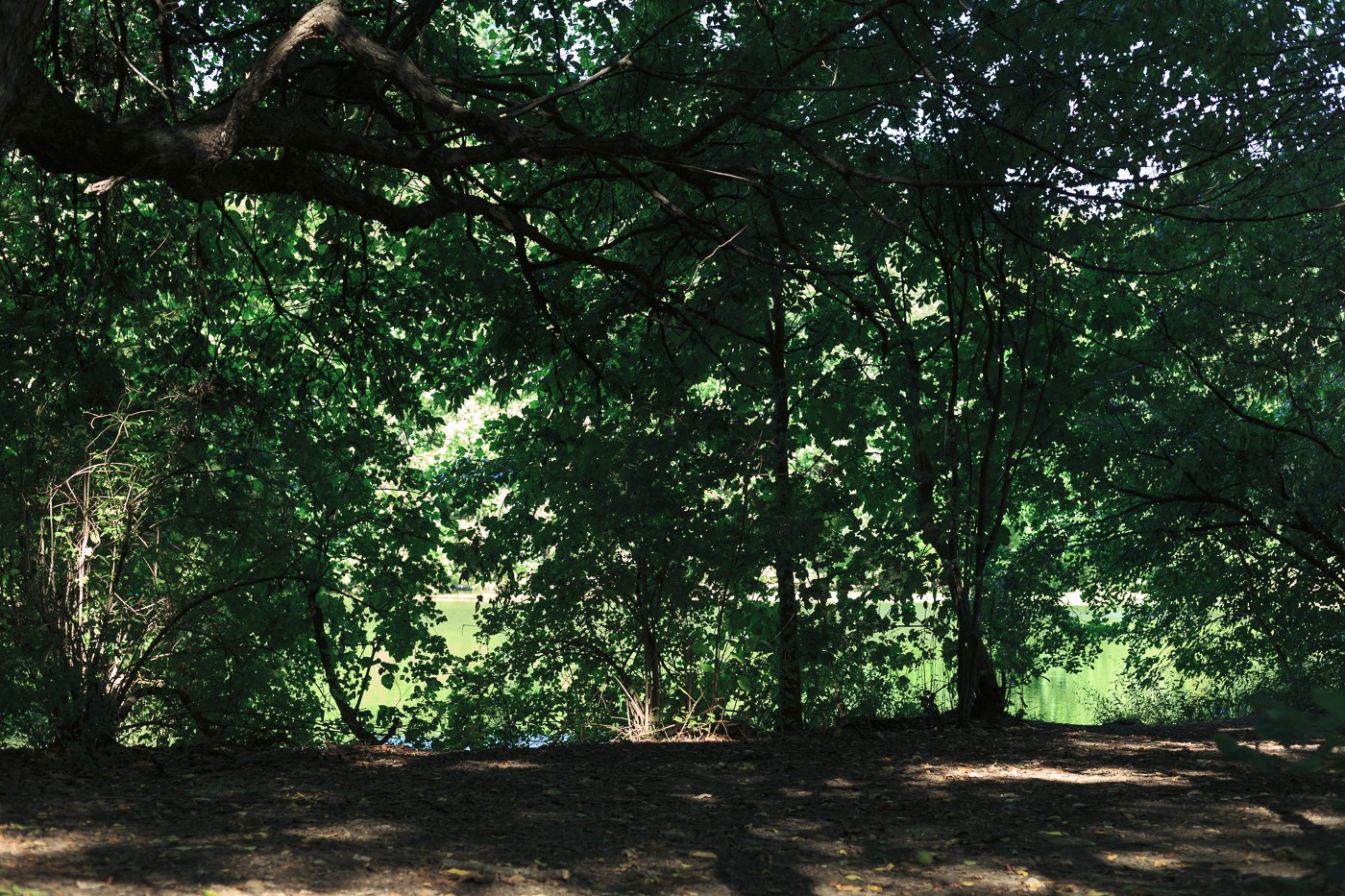 Work – Yoshiko Mori