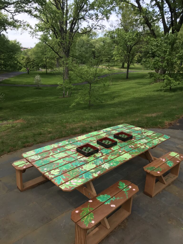 Yoshiko Mori Picnic Table at the New York Botanical Garden about mugwort. Collage of leaves in landscape setting
