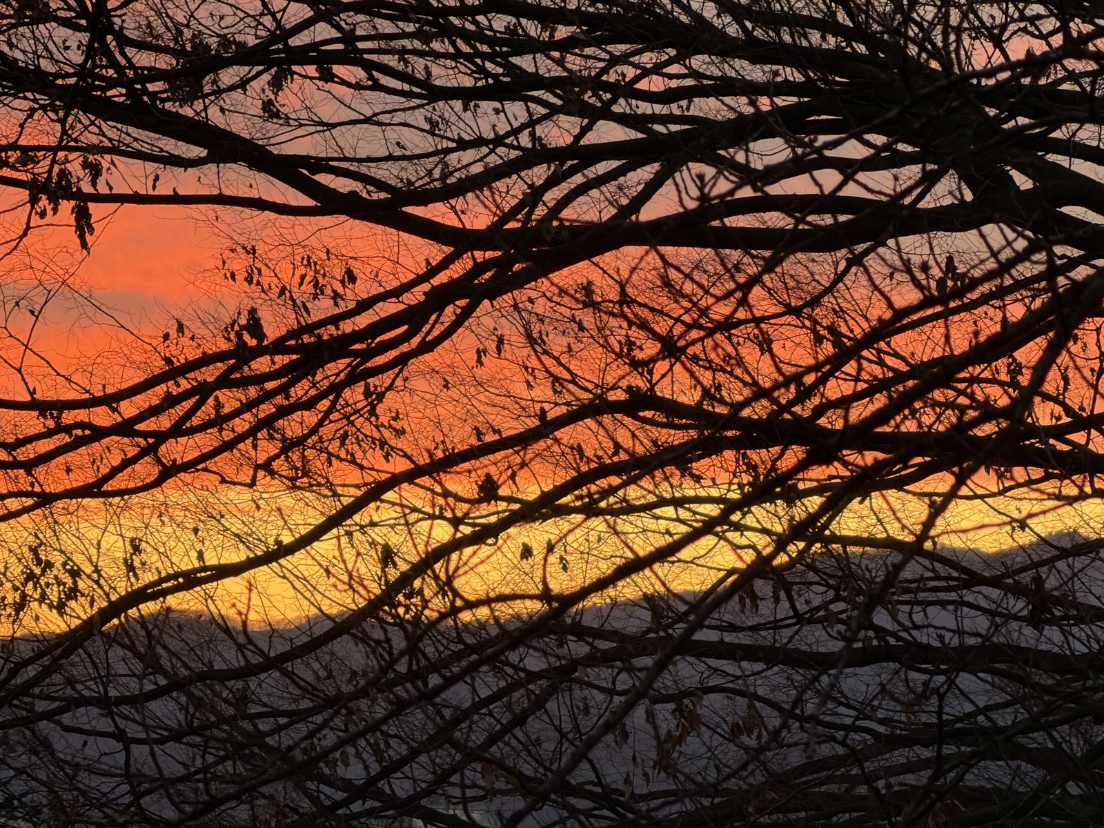 17th Annual Yonkers Artist Showcase